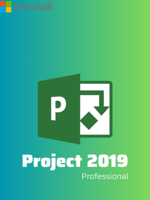 Key Microsoft Project 2019 Professional